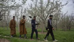 Kashmir search