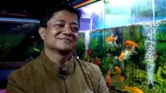 एक्वेरियम व्यवसायी