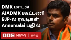 தமிழ்நாட்டில் போலி ஆவணங்கள் மூலம் கடவுச்சீட்டுகள் வழங்கப்பட்ட விவகாரத்தை எழுப்பியுள்ள அண்ணாமலை, அது தொடர்பாக மாநில ஆளுநரிடம் புகார் மனு அளித்திருக்கிறார்.