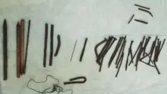 ከታራሚው የወጡት ሚስማሮች