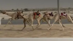 ऊंट रेस