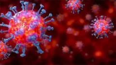 Coronavirus vaccine