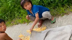 Niños