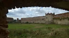 Площа подвір'я замку -2 гектари