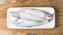 बोंबिल, बॉंबे डक, BOMBAY DUCK