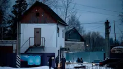 Колония