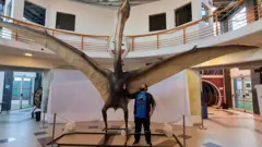 imagem mostra réplica de animal descoberto