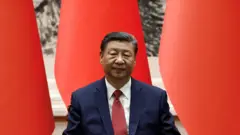 北京人民大會堂內習近平坐在中國與巴林國旗前（31/5/2024）