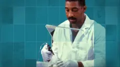 fotka