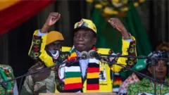 Rais Emmerson Mnangagwa aliingia madarakani mwaka 2017