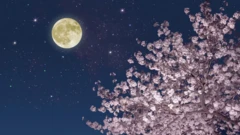 รอบรู้เรื่องดาราศาสตร์แห่ง "ชุนเจี๋ย" เทศกาลต้อนรับฤดูใบไม้ผลิ