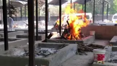 कोरोना, चिता