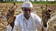 प्रातिनिधिक फोटो