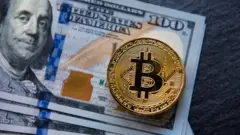 Dólares y bitcoin