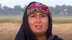 ਸਮੀਨਾ