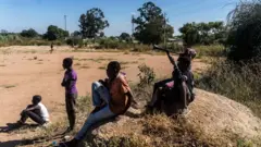 Sports fans in Zimbabwe