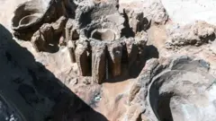 ጥንታውያን ኣጋንእ