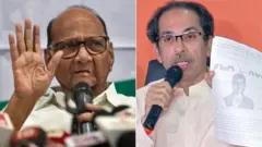 शरद पवार और उद्धव ठाकरे