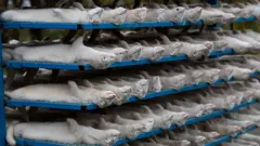 افزایش محدودیت‌های کرونا و نگرانی‌ها از جهش ویروس