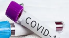 Covid