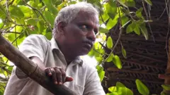 தமிழகத்தில் தனி மனிதரின் முயற்சியால் உருவான செழிப்பான காடு