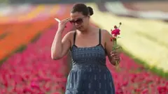 ઇઝરાયલના ખેતરની પ્રતિકાત્મક તસવીર