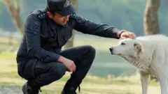 polis
