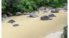 Vườn quốc gia Tam Đảo 2