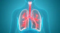 የሳንባ ባለ ሦስት አውታር ምስል