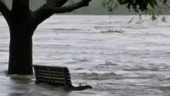 Затопленный парк