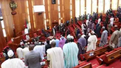 Nigeria Senate
