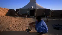 Sahrawi
