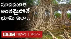 ఘోస్ట్ ఐలాండ్