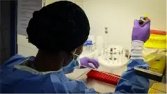 Onimọ ilera kan nibudo iwadi ijinlẹ.