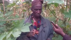 Agbẹ Ikoyi Ile
