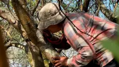 ඔබේ වටපිටාවේ වාතයේ ගුණාත්මකභාවය පෙන්වන ස්වාභාවික දර්ශක