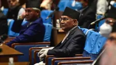 नेपाल
