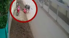 BULL ATTACK