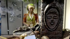 energi terbarukan, perubahan iklim, afrika