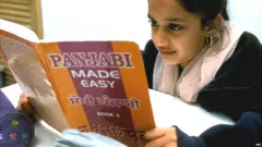 ਪੰਜਾਬੀ ਭਾਸ਼ਾ