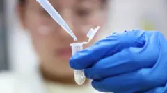 DNA