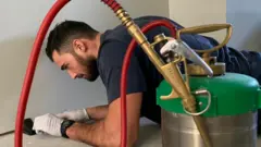James Molluso lies on the floor to investigate a pest problem