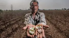 પ્રતીકાત્મક તસવીર