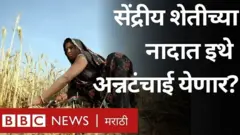 सेंद्रीय शेती
