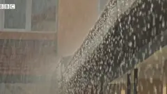 மழை நீர்