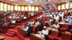 Nigerian Senate