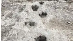 tragovi dinosaorusa