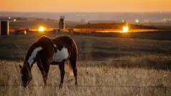 Amerika'daki Bakken Petrol Sahası'ndaki alevler