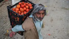 પાકિસ્તાન