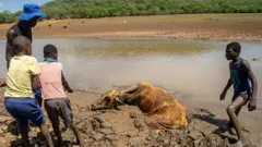 La grave sécheresse qui frappe le Zimbabwe compromet l'existence de milliers d'enfants